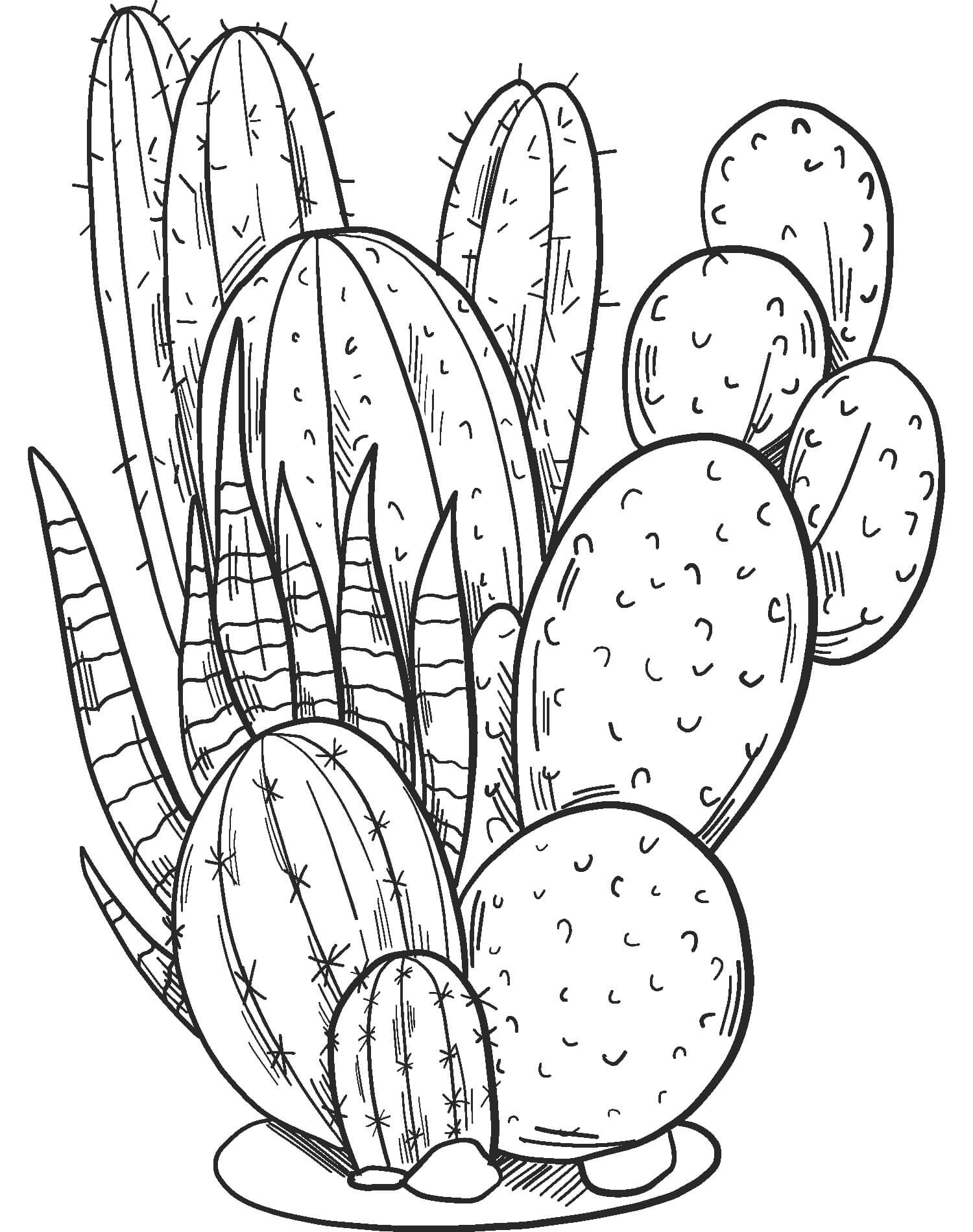 Gran Cactus para colorir