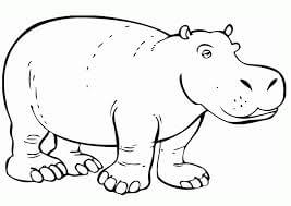 Gran Hipopotamo para colorir
