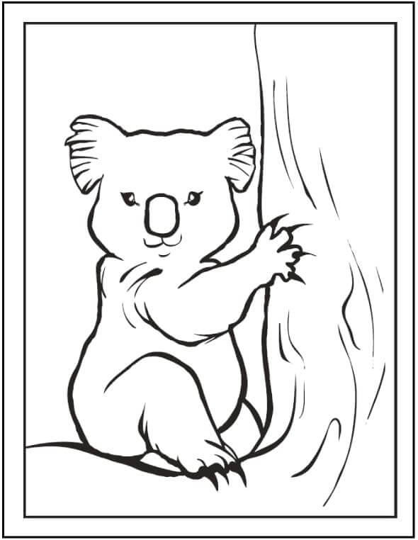 Dibujos de Gran Koala para colorear