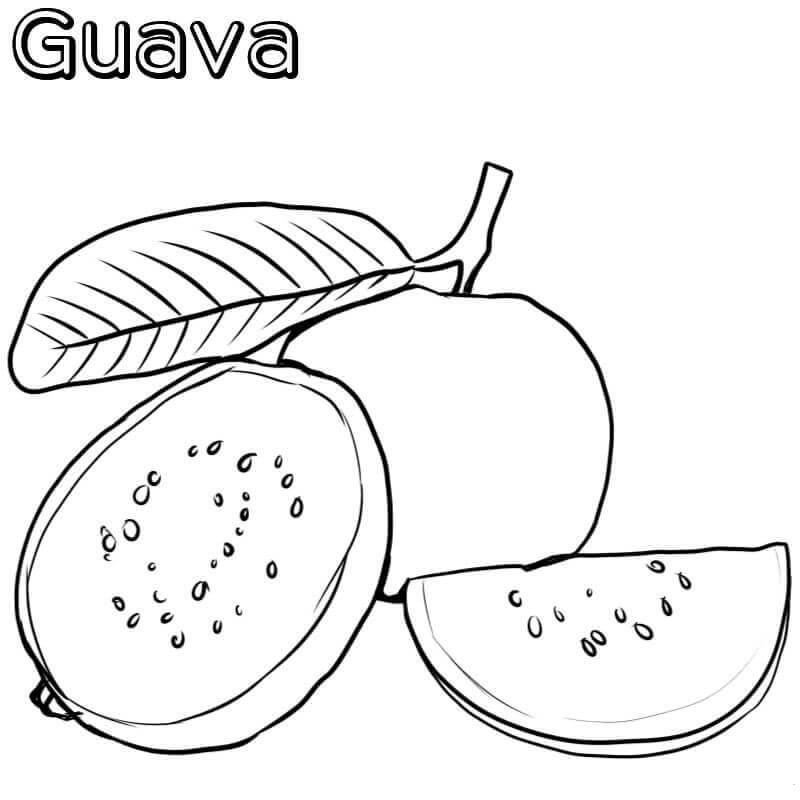 Dibujos de Guayaba Básica para colorear