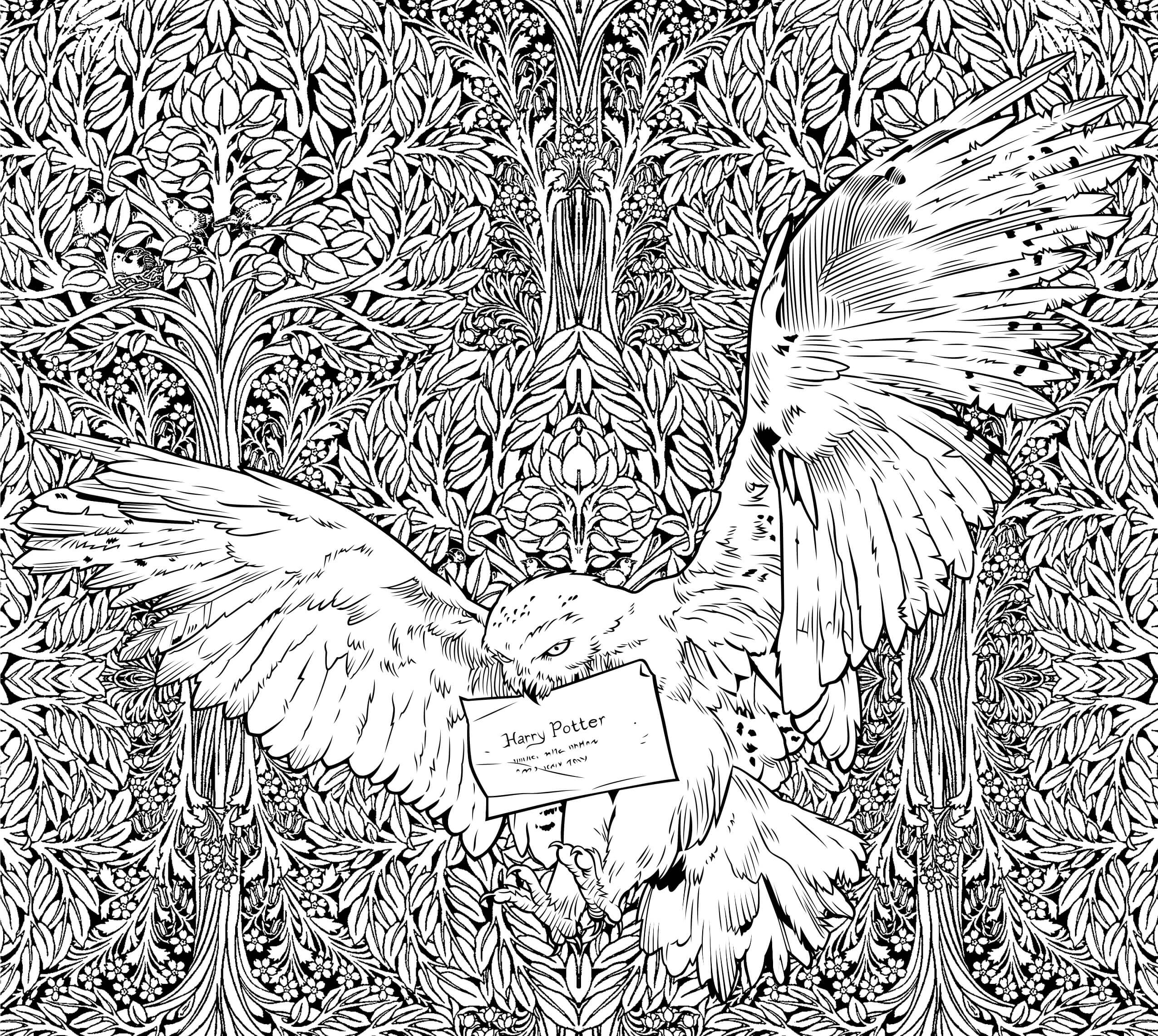 Dibujos de Hedwig de Dumbledore para colorear
