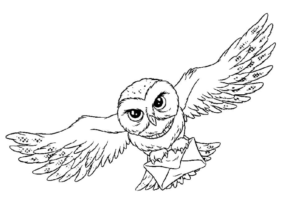 Hedwig Volando para colorir