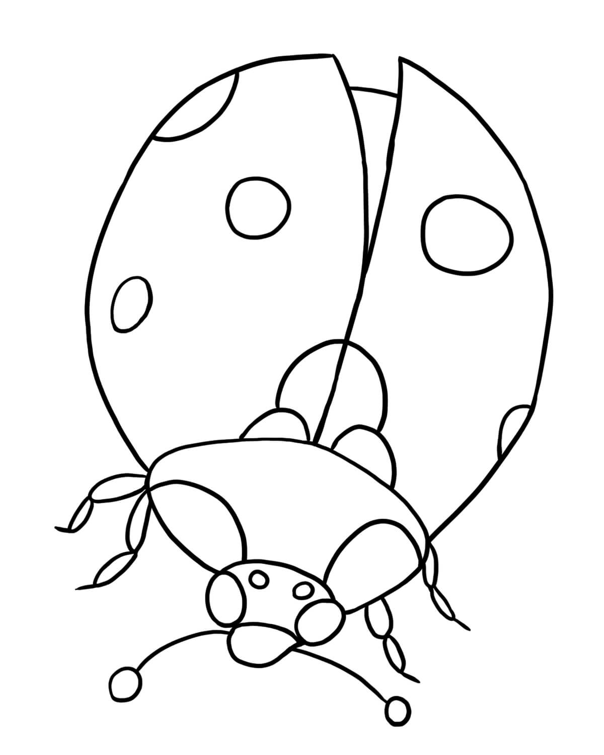 Dibujos de Ladybug