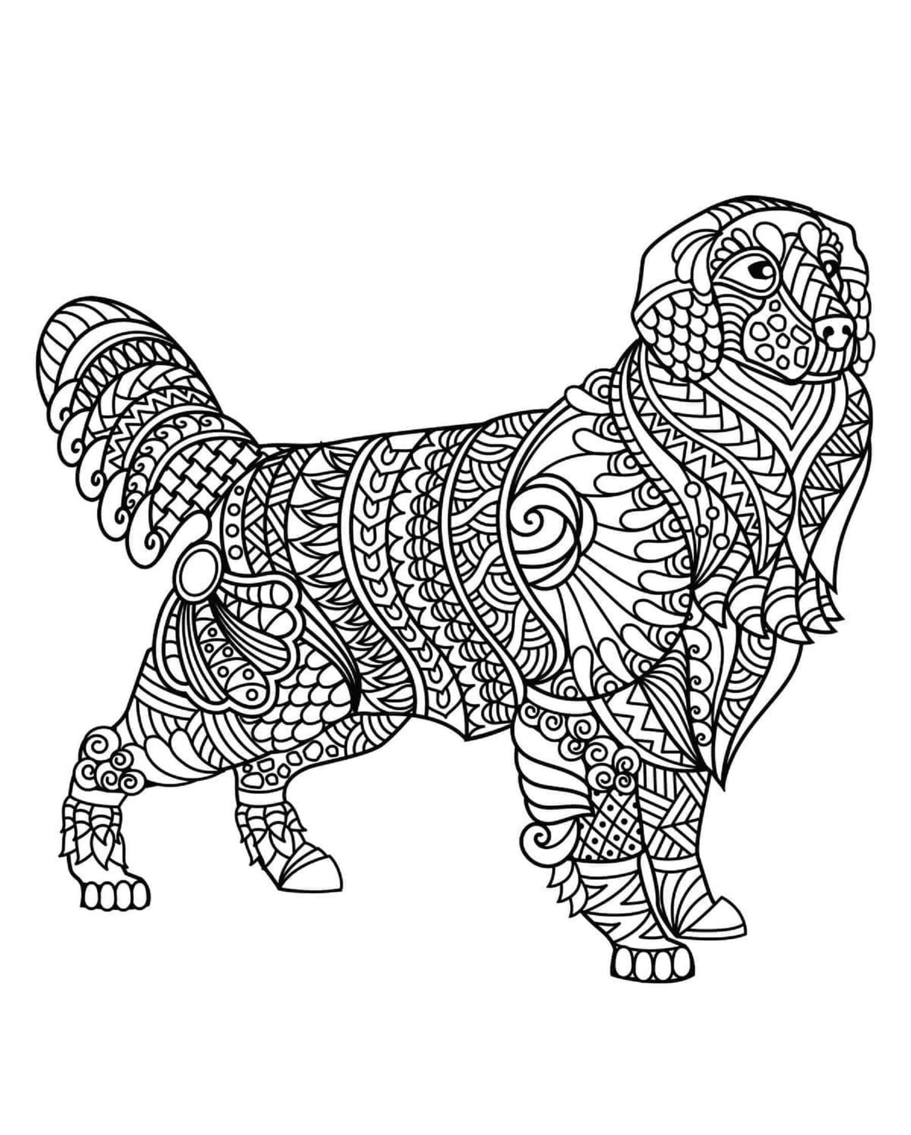 Dibujos de Hermoso Mandala de Perro para colorear
