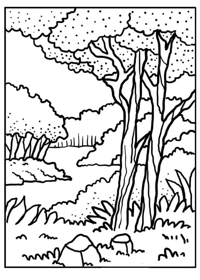 Dibujos de Hermoso paisaje forestal para colorear