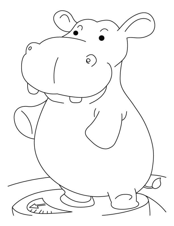 Hipopótamo de pie en Escala para colorir