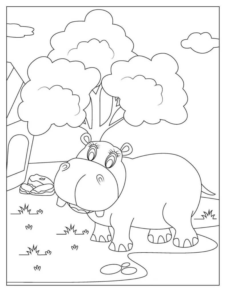 Dibujos de Hipopótamo en el Zoológico para colorear