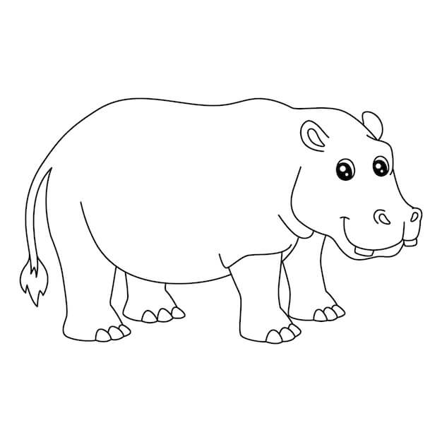Dibujos de Hipopótamo Perfecto para colorear