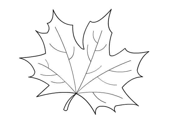 Dibujos de Hoja de otoño para colorear