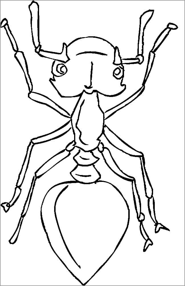 Dibujos de Hormiga Adorable para colorear