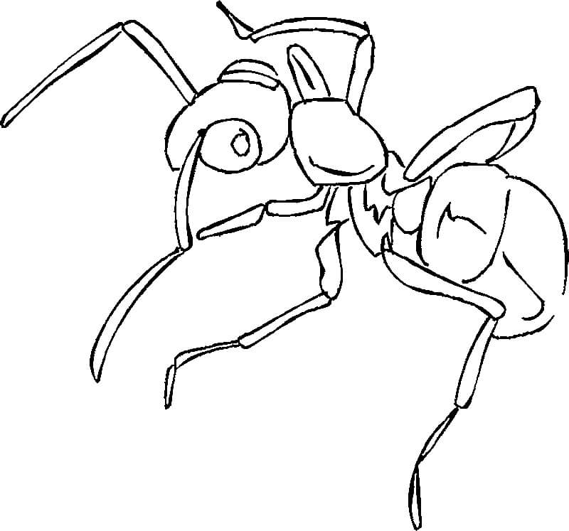 Dibujos de Hormiga Agradable para colorear
