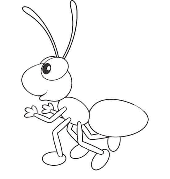 Dibujos de Hormiga Básica para colorear