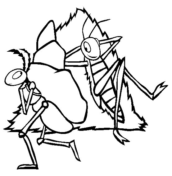 Dibujos de Hormiga y Saltamontes para colorear