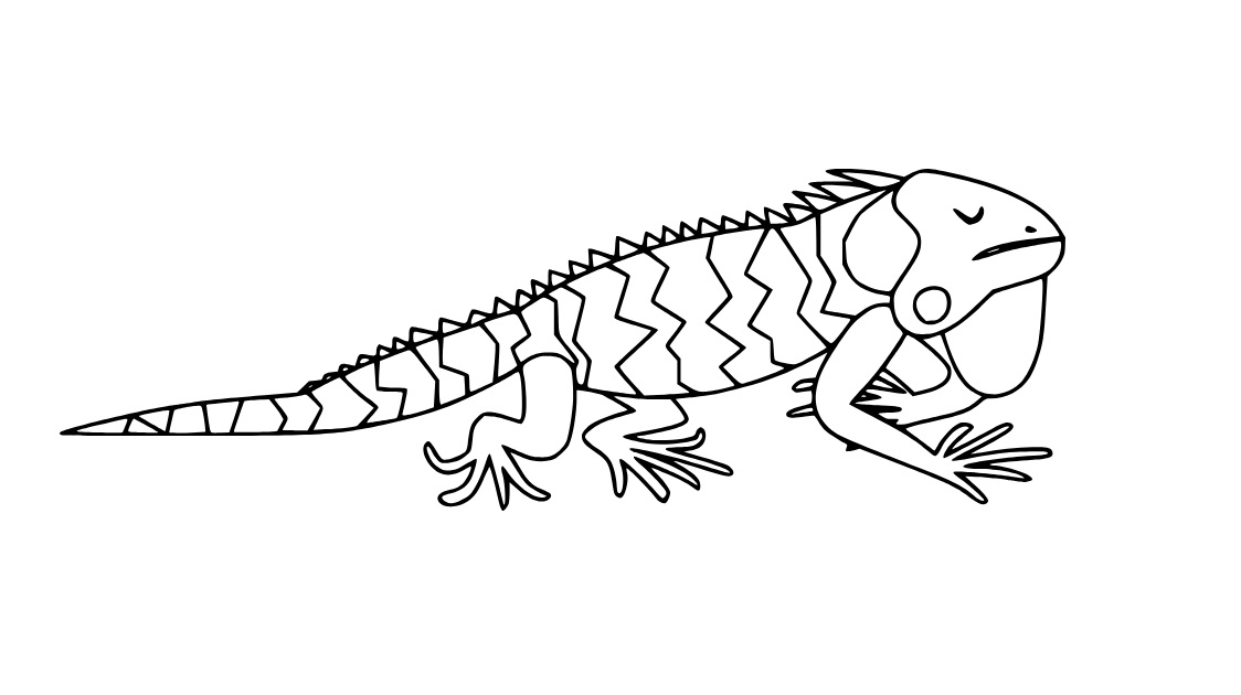 Iguana Divertida para colorir