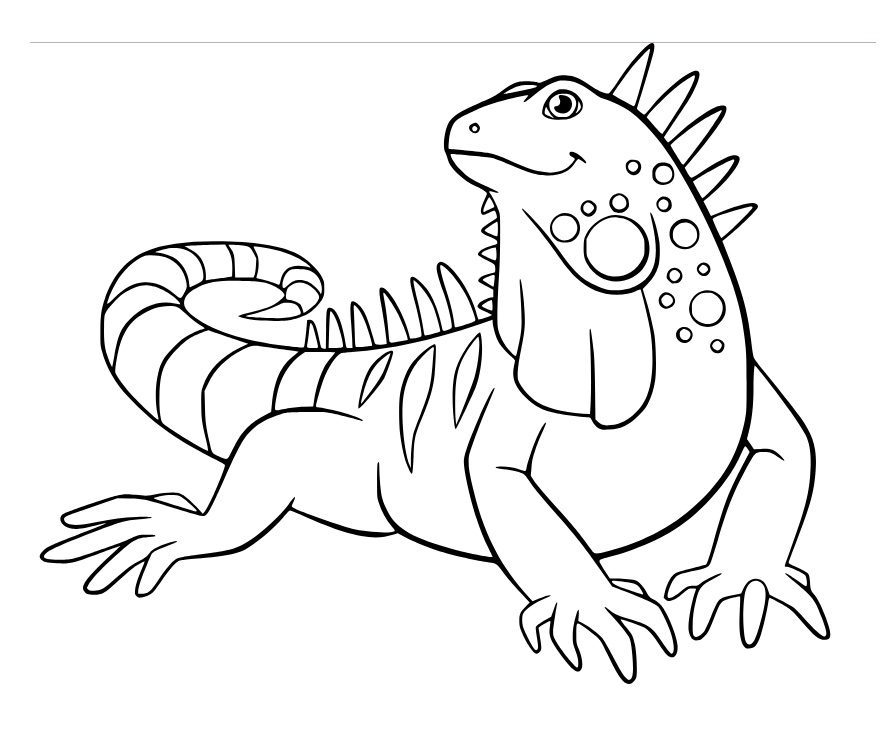 Iguana Fácil para colorir