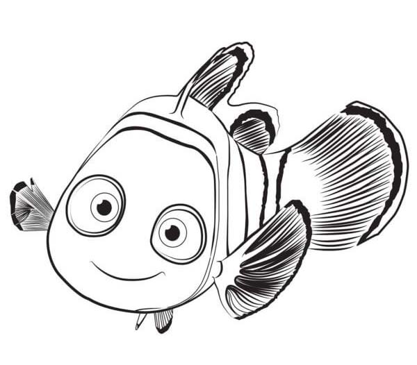Imagen Buscando A Nemo básico para colorir
