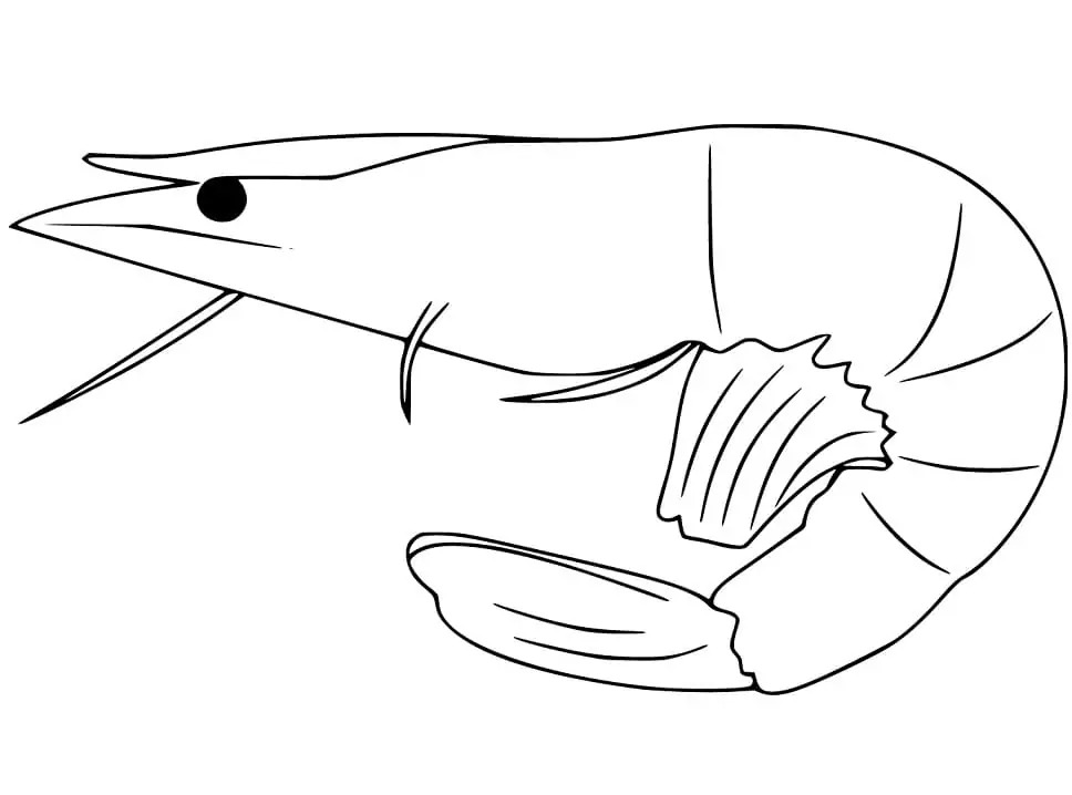 Dibujos de Imagen Camarones gratis para colorear