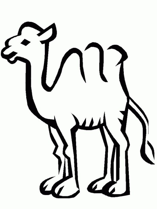 Dibujos de Imagen de camellos para colorear