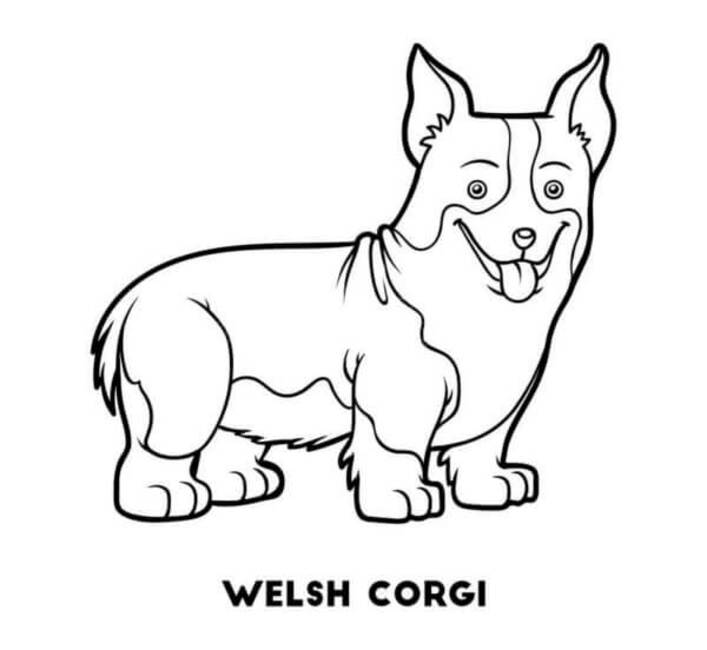 Dibujos de imagen de Corgi para colorear