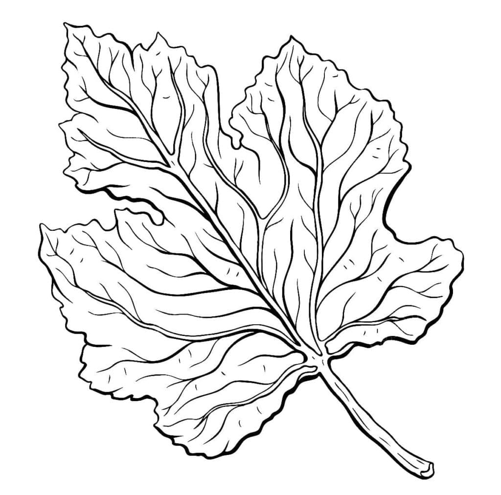 Dibujos de Imagen de hoja de otoño gratis para colorear