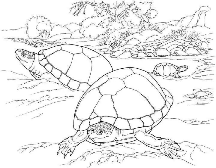 Dibujos de Imagen Desierto imprimible gratis para colorear