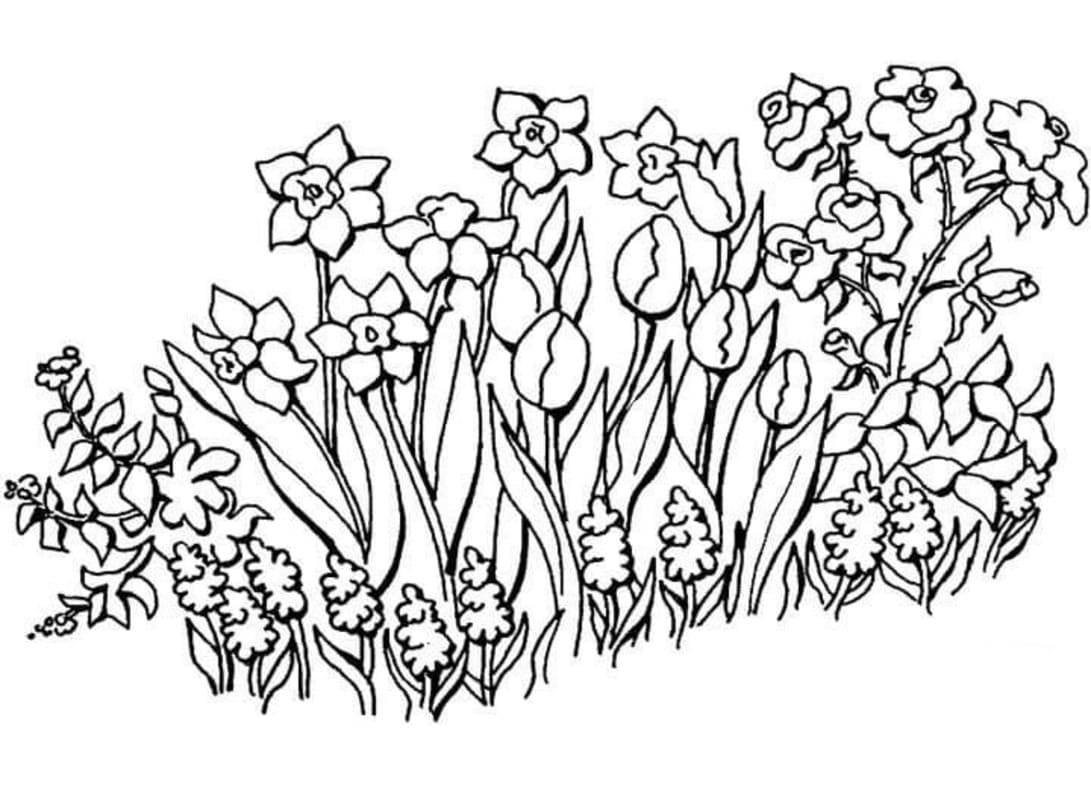 Dibujos de Imagen Jardín para colorear