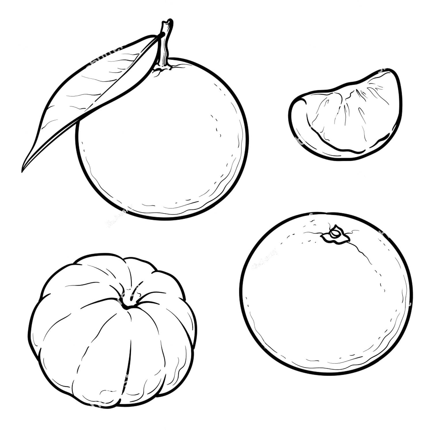 Dibujos de Imagen Mandarina fácil para colorear