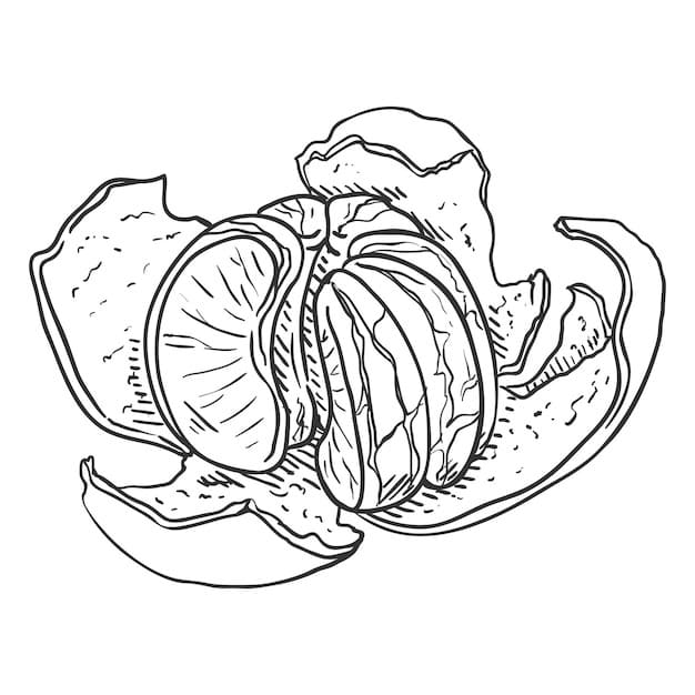 Dibujos de Imagen Mandarina imprimible para colorear