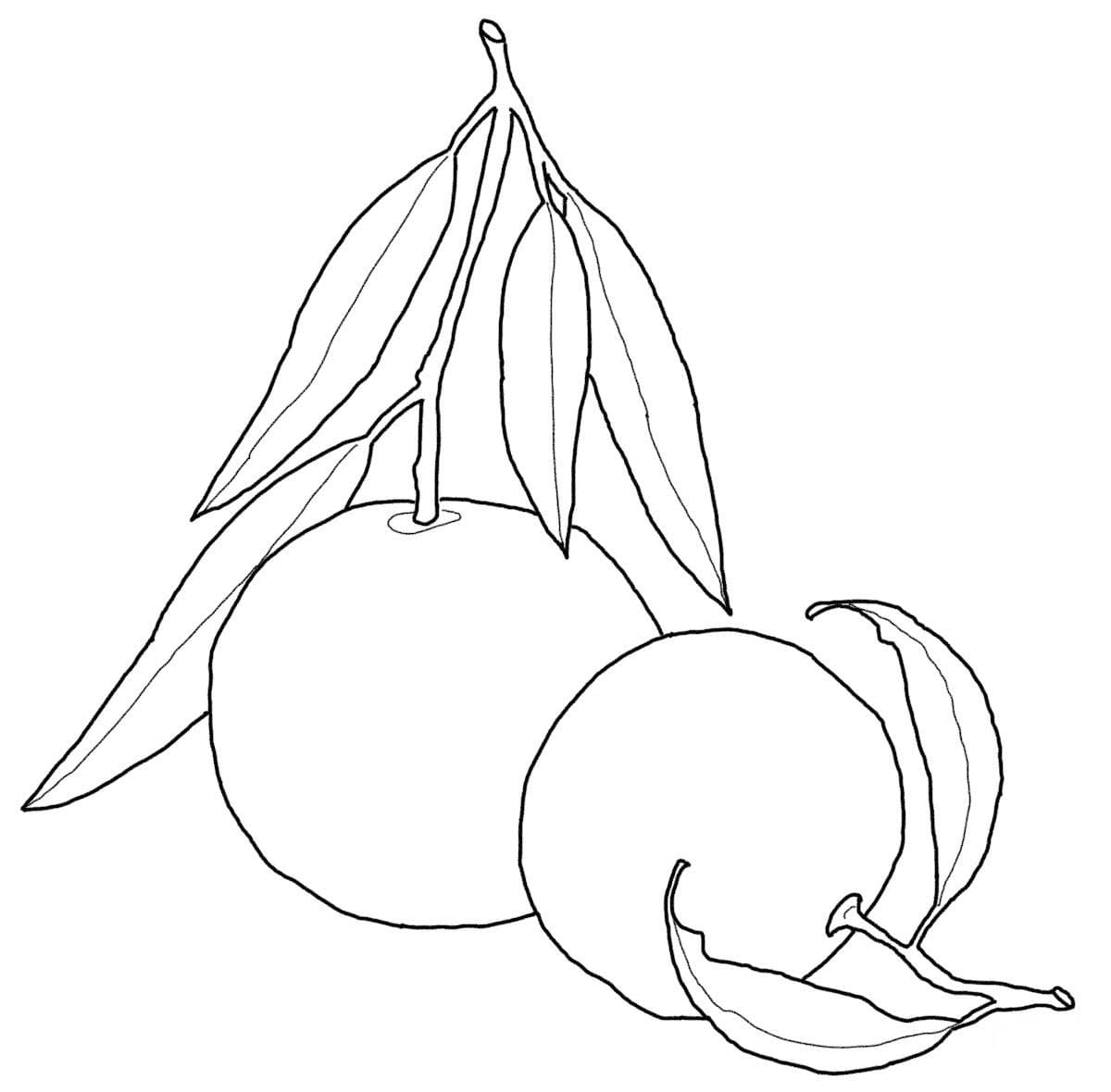 Dibujos de Imagen Mandarina para niños para colorear