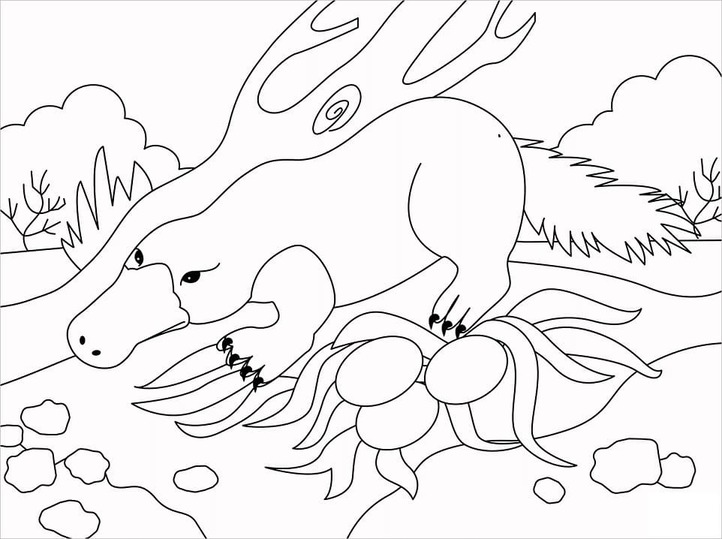 Dibujos de Imagen Ornitorrinco bosquejo para colorear