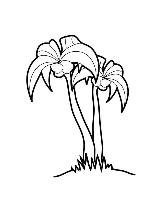 Dibujos de Imagen Palmera básico para colorear