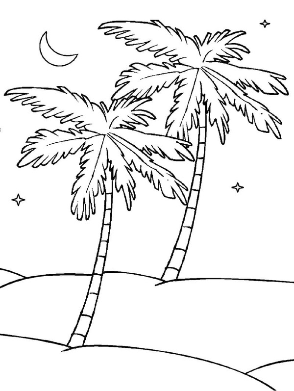 Dibujos de Imagen Palmera gratis para colorear