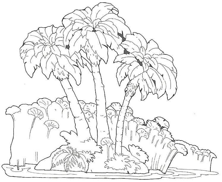 Dibujos de Imagen Palmera imprimible gratis para colorear