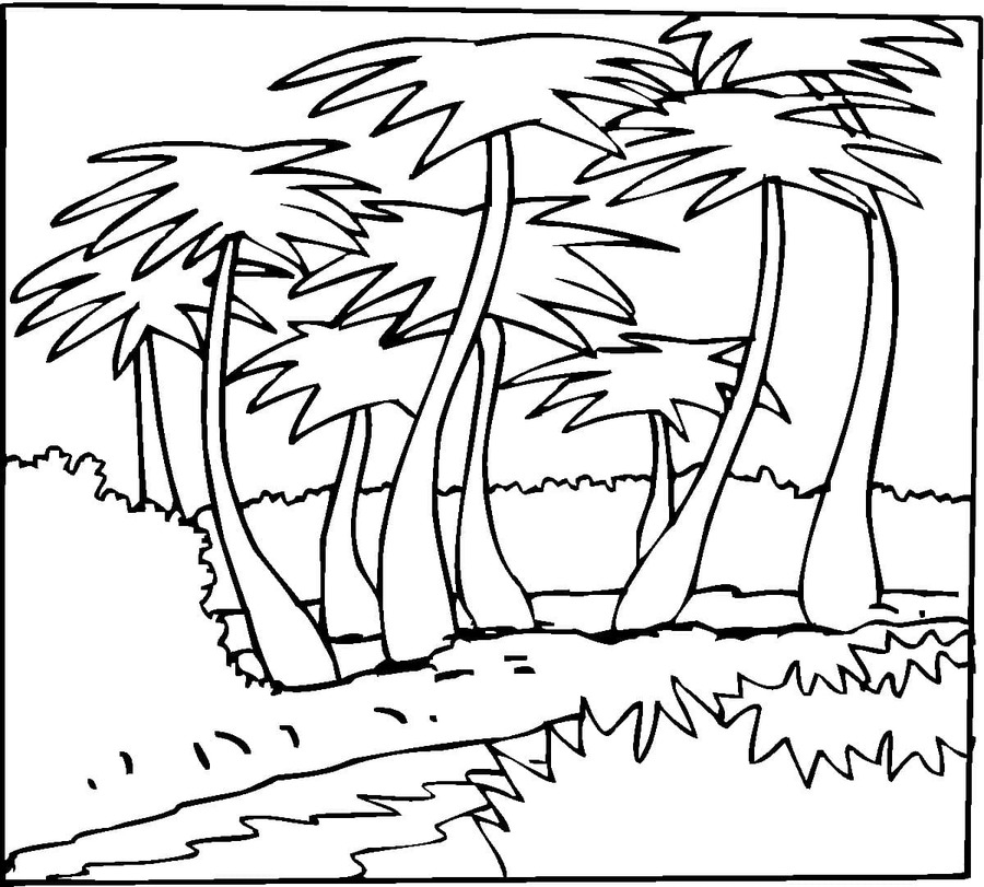 Dibujos de Imagen Palmera imprimible para colorear