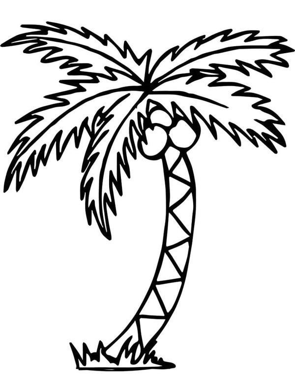 Dibujos de Imagen Palmera Sencillo para colorear