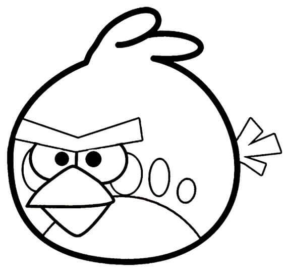 Impresionante Angry Birds para colorir