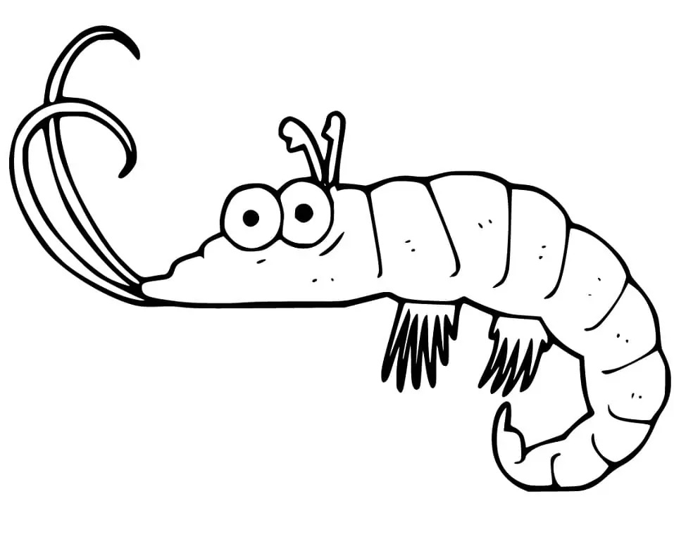 Dibujos de Imprimir Camarones para colorear