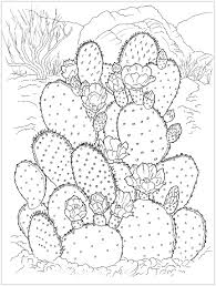 Dibujos de Increíble Cactus para colorear