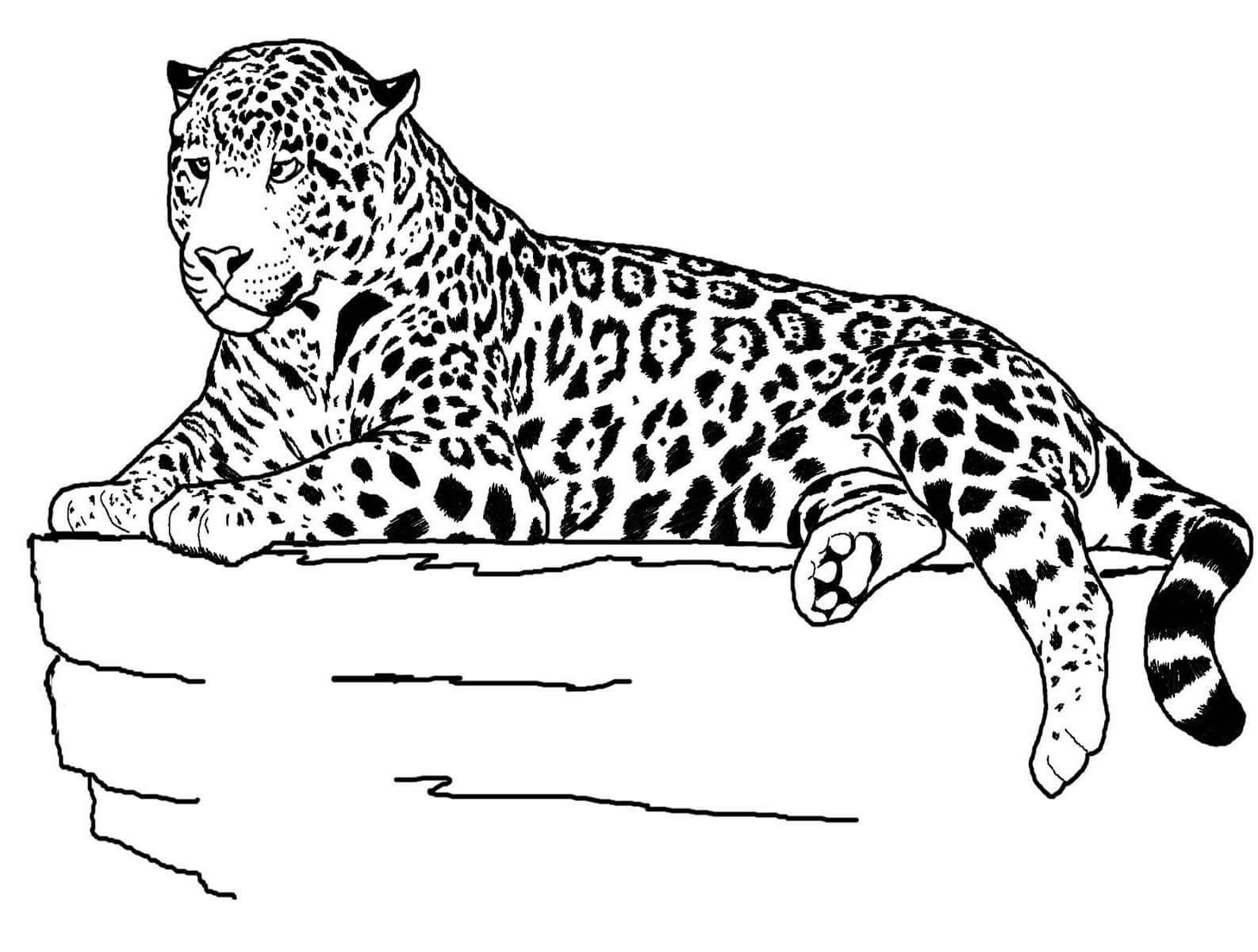 Dibujos de Jaguar Reclinable para colorear