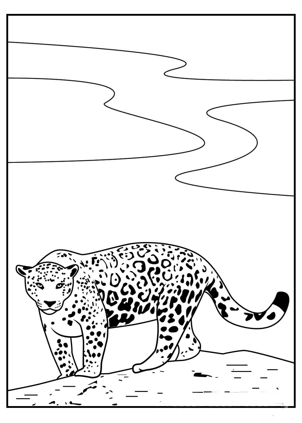 Jaguar Sencillo para colorir
