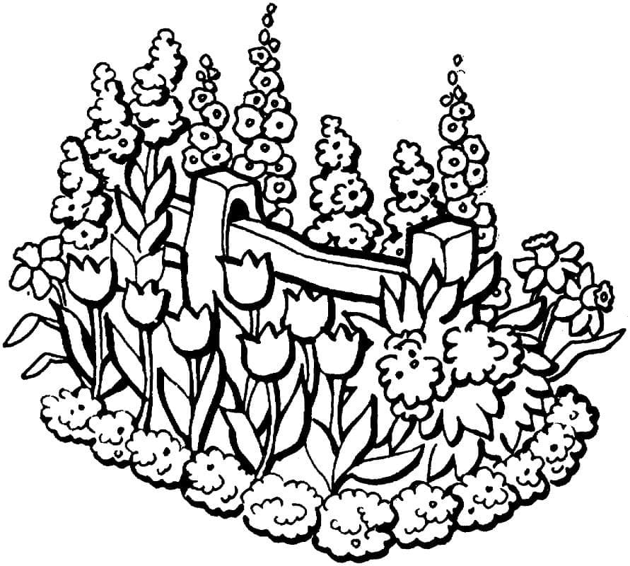 Dibujos de Jardín 3 para colorear
