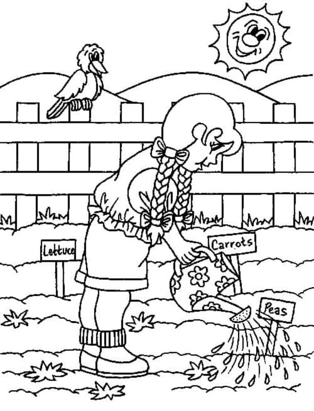 Dibujos de Jardín básico para colorear