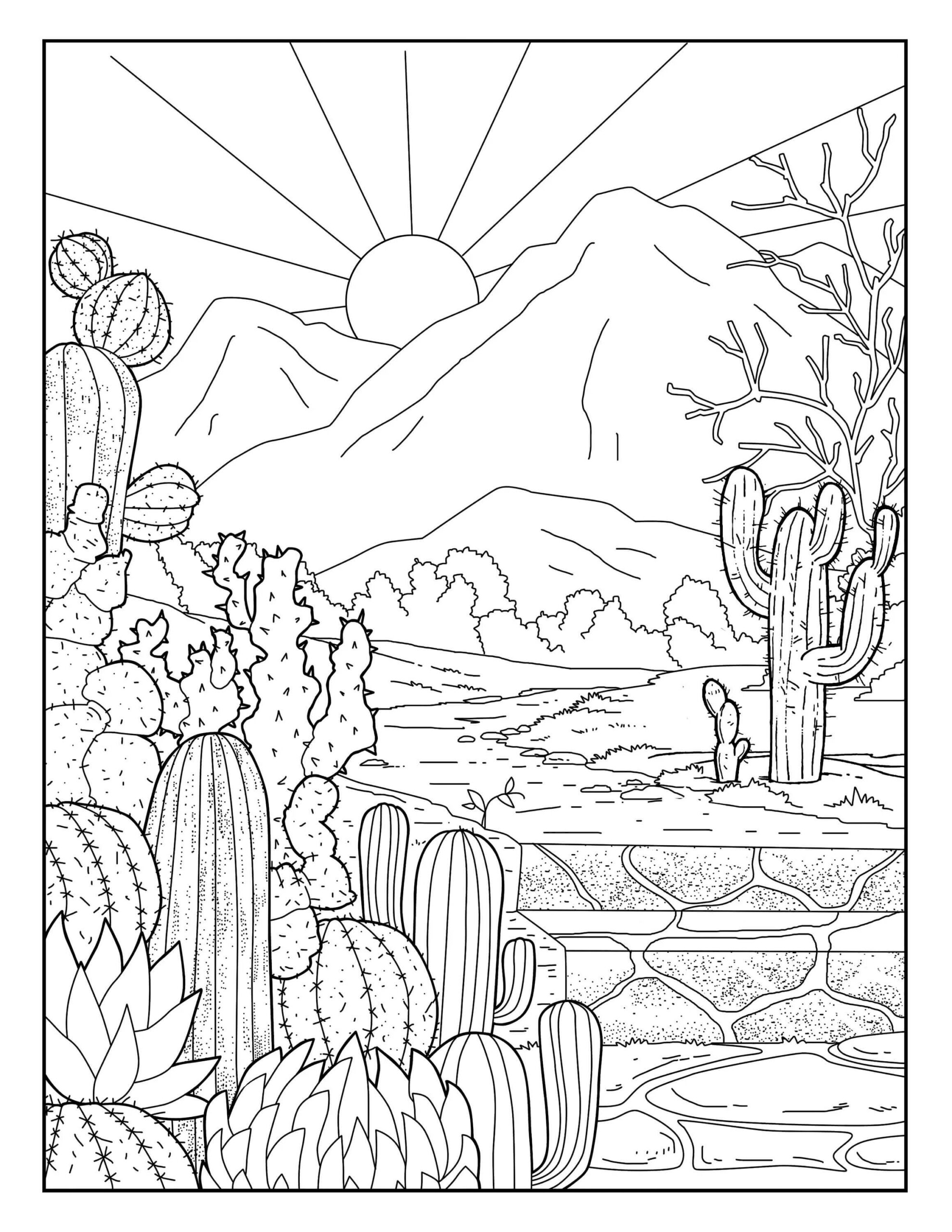 Dibujos de Jardín de Cactus y Sol para colorear