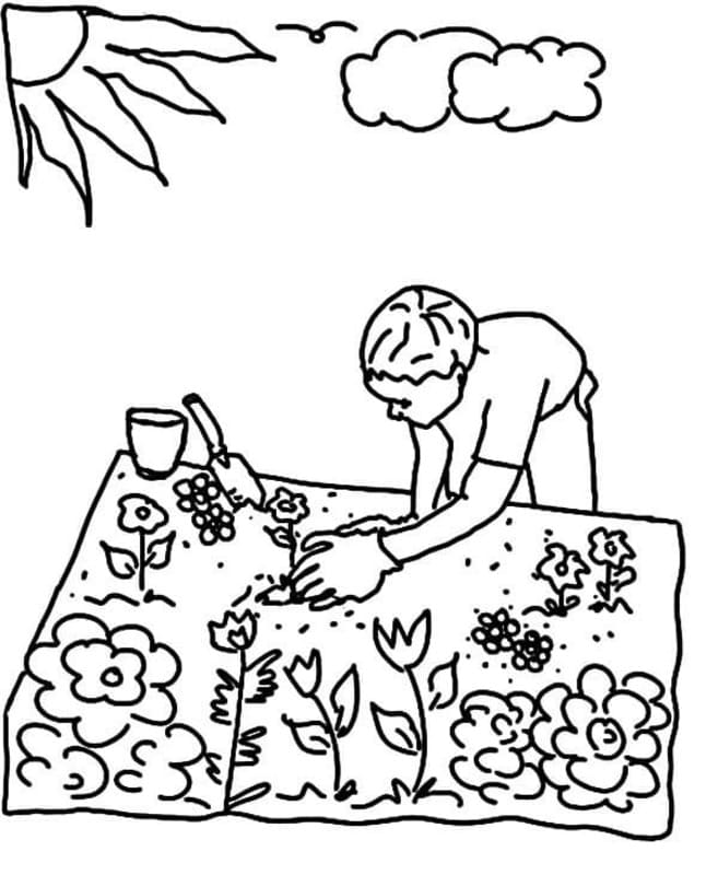Dibujos de Jardín muy básico para colorear