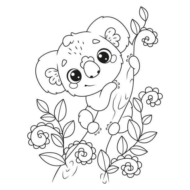 Dibujos de Koala con Flor para colorear