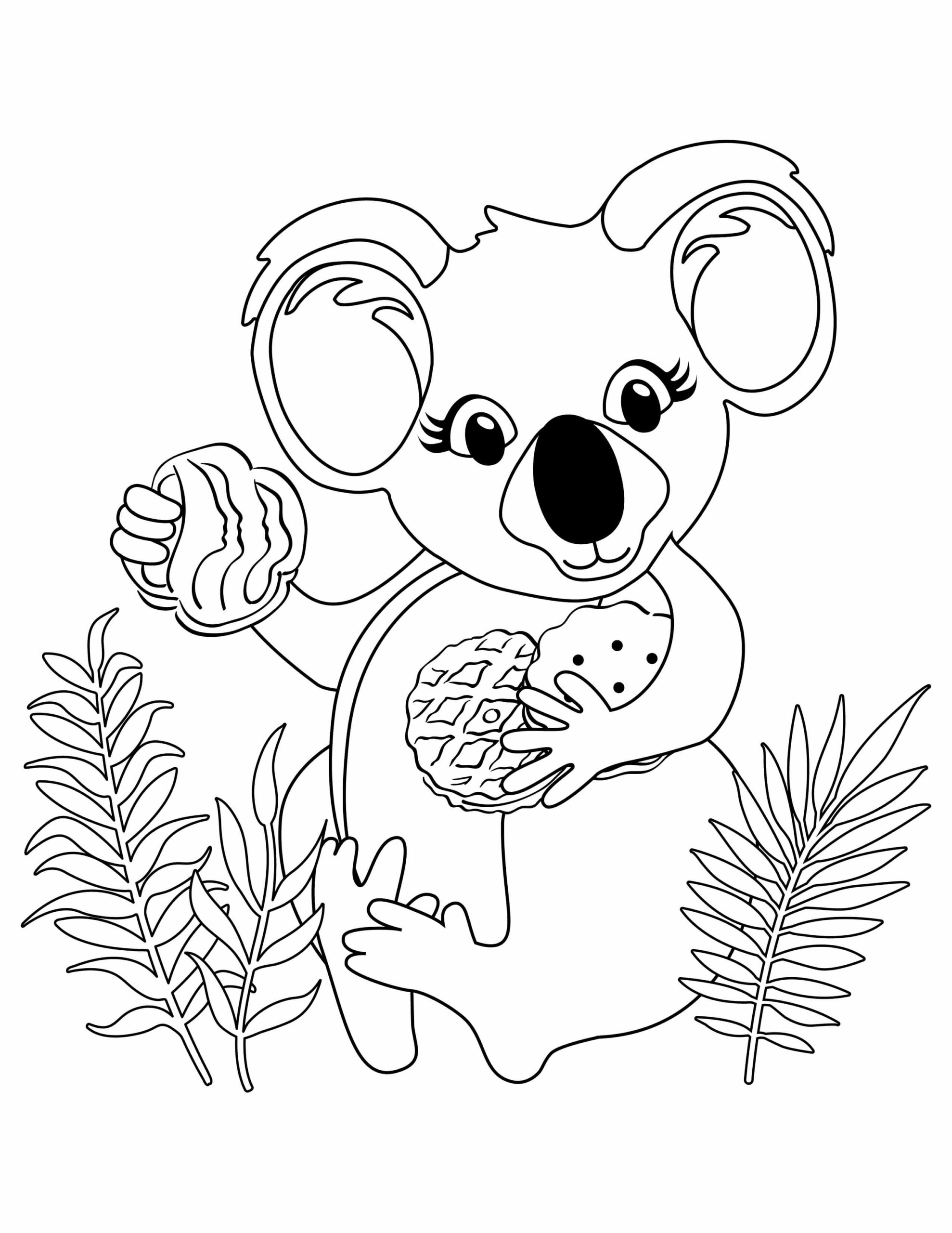 Koala con Galletas para colorir