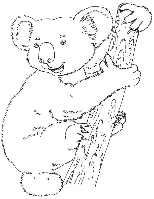Dibujos de Koala