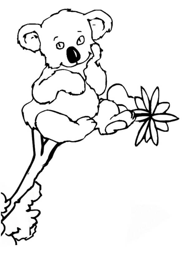 Dibujos de Koala sentado en el Árbol para colorear