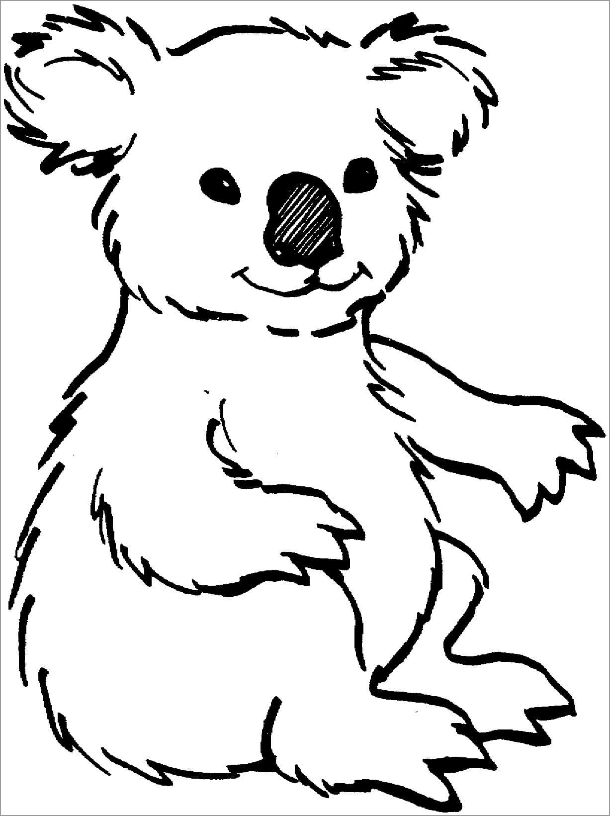 Koala Sentado para colorir