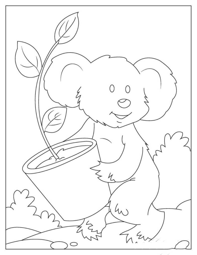 Dibujos de Koala Sosteniendo una Maceta para colorear